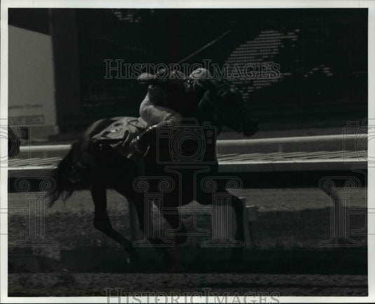 1990 Press Photo Sister Explodent, Thistledown Race Track. - cvb65524 - Historic Images