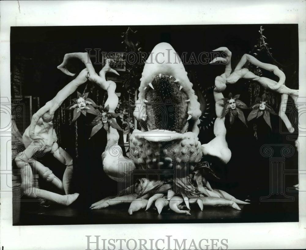 1984 Press Photo Award-winning musical &quot;Little Shop of Horrors&quot; - Historic Images