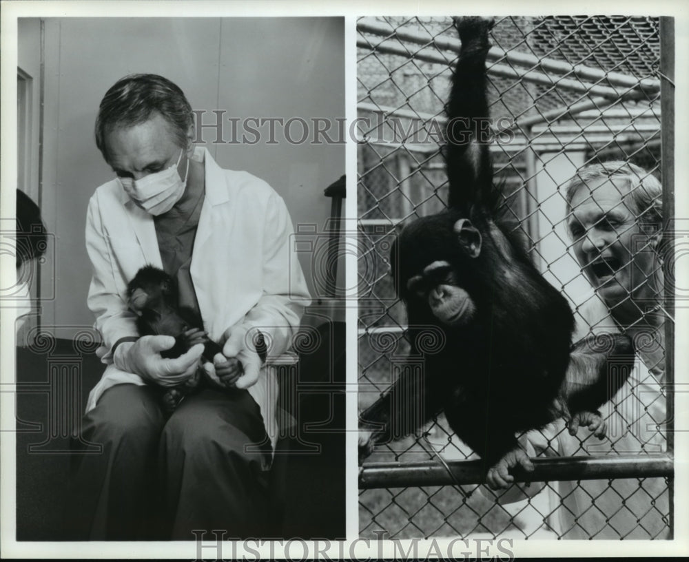 Press Photo Alan Alda&#39;s Primate Pals in Scientific American Frontiers - Historic Images