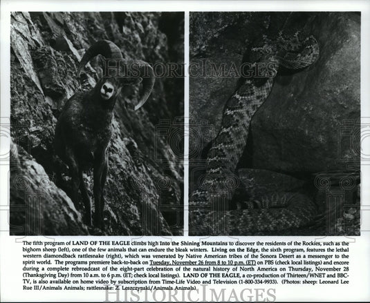 Press Photo "Land of the Eagle" and "Living on the Edge" PBS productions. - Historic Images