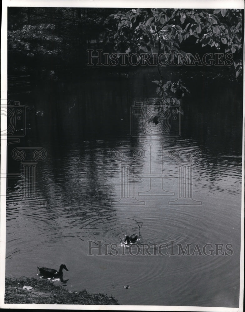 1969 Press Photo Metropolitan Park, North Chagrin Reservation - Historic Images