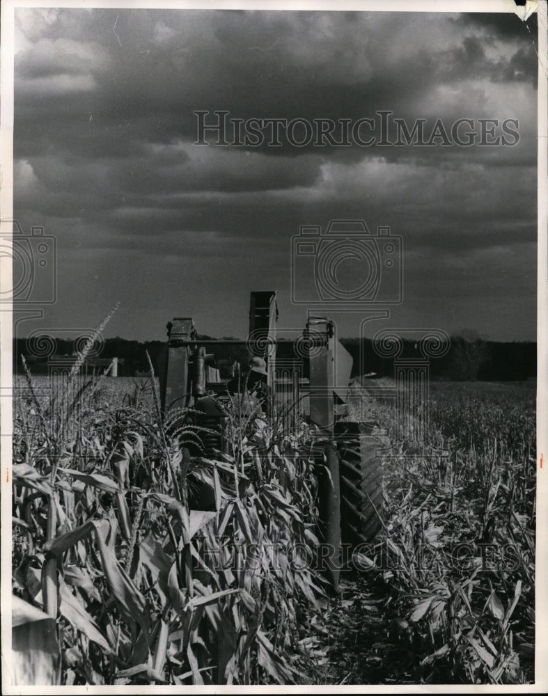 1963 Press Photo Galehouse Seed Farm, Marshallville - Historic Images