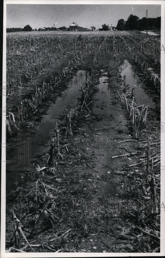 1973 Press Photo A farm land scene - Historic Images