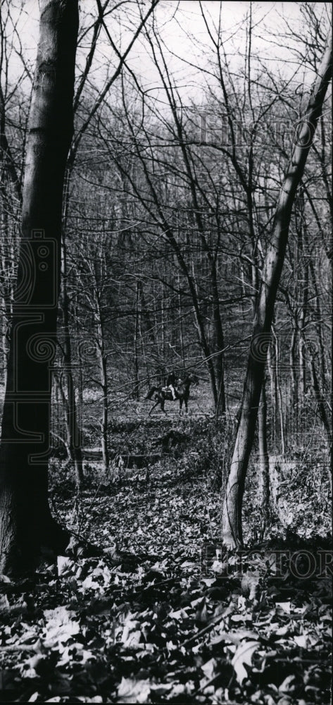 1965 Press Photo Rocky River Reservation, Metropolitan Park - Historic Images