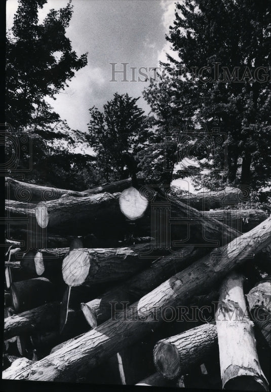 1974 Press Photo Auburn Township-Lumber Industry - Historic Images