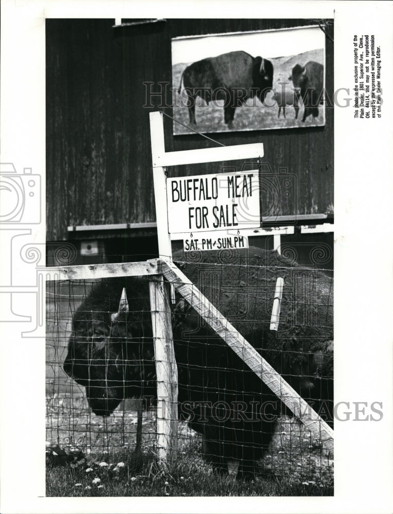 1988 Press Photo Buffalo Farm-Canton - Historic Images