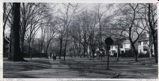 1985 Press Photo Scarborough Road Cleveland Heights houses and trees - Historic Images