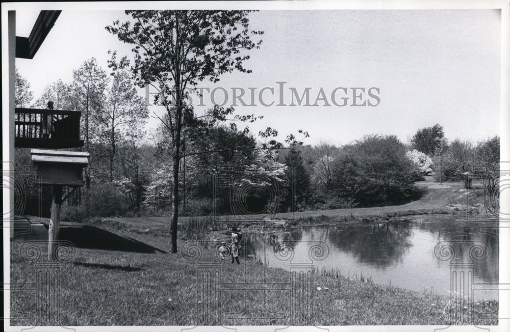 1971 Press Photo Holden Arboretum - Historic Images