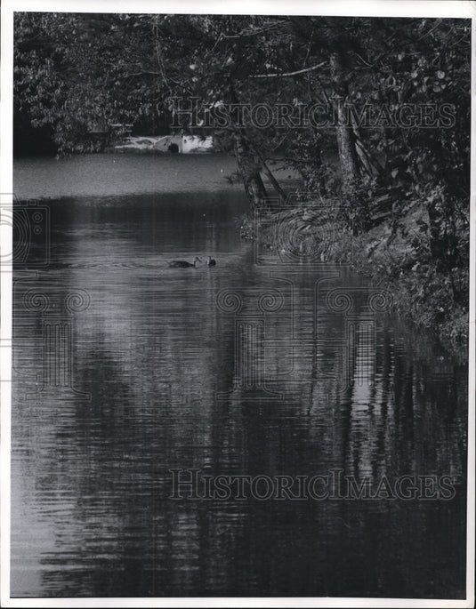 1969 Press Photo Strawberry Lane Pond-Chagrin Reservation-Metropolitan Park - Historic Images