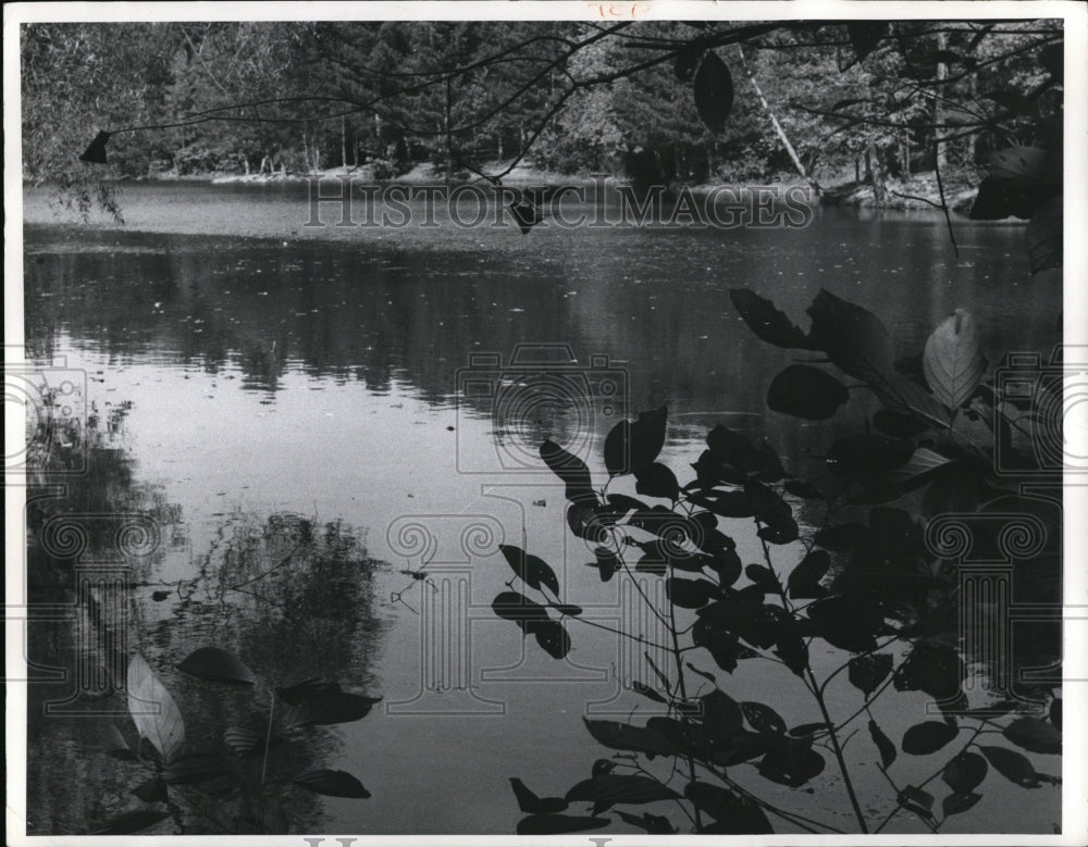 1969 Press Photo Strawberry Lane Pond N. Chagrin Reservation-Metropolitan Park - Historic Images