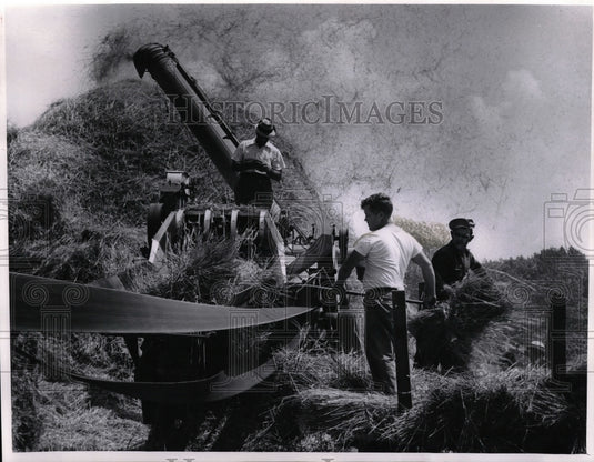 1963 Press Photo Thresher owner Steve Kabbage during the old style wheat harvest - Historic Images
