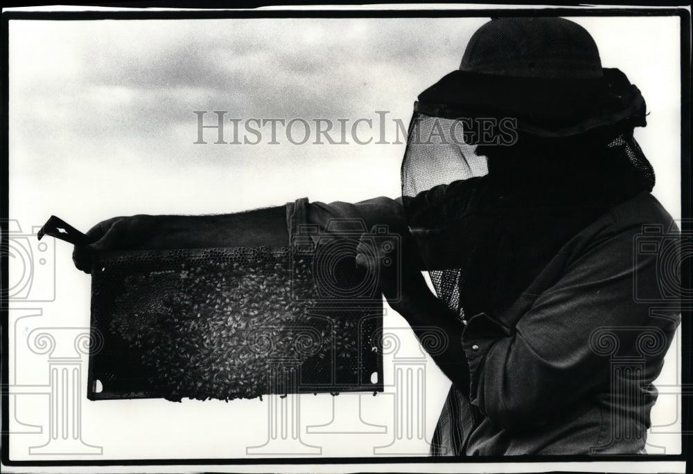 1985 Press Photo David Dombrowski, first year student in bookkeeping school - Historic Images