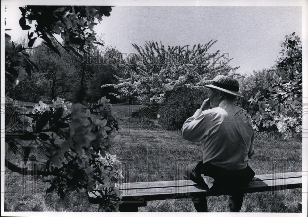 1971 Press Photo Dareito F.W. Krebs-Holden Arboretum - Historic Images