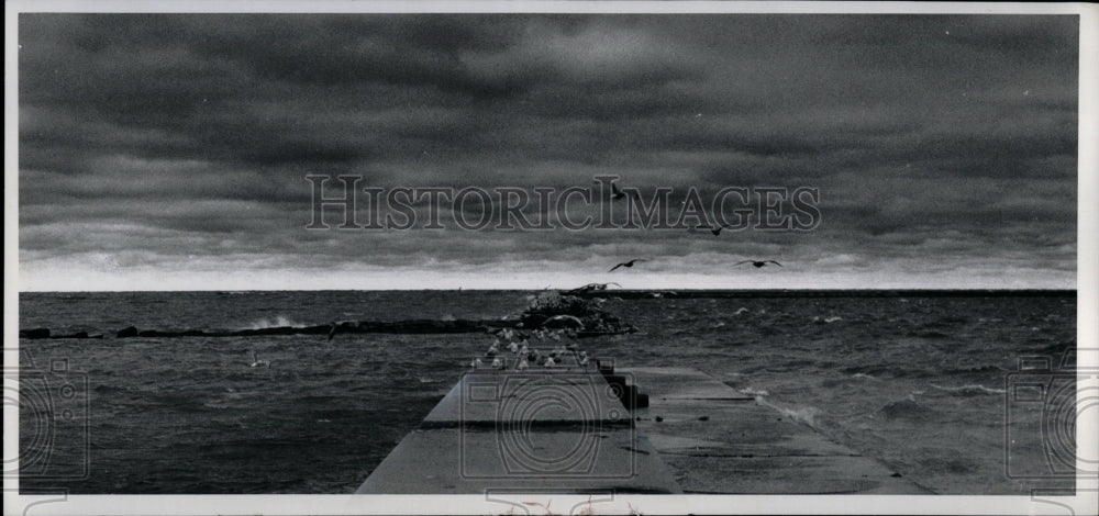 1974 Press Photo Winter Sky at Edgewater Park-Seagulls at the breakwall - Historic Images