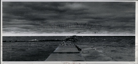 1974 Press Photo Winter Sky at Edgewater Park-Seagulls at the breakwall - Historic Images