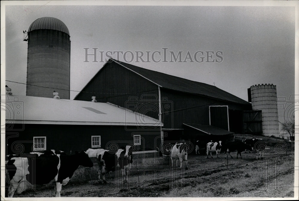 1970 Press Photo  Jacob Zimmerly Dairy Farm-Wayne County - Historic Images