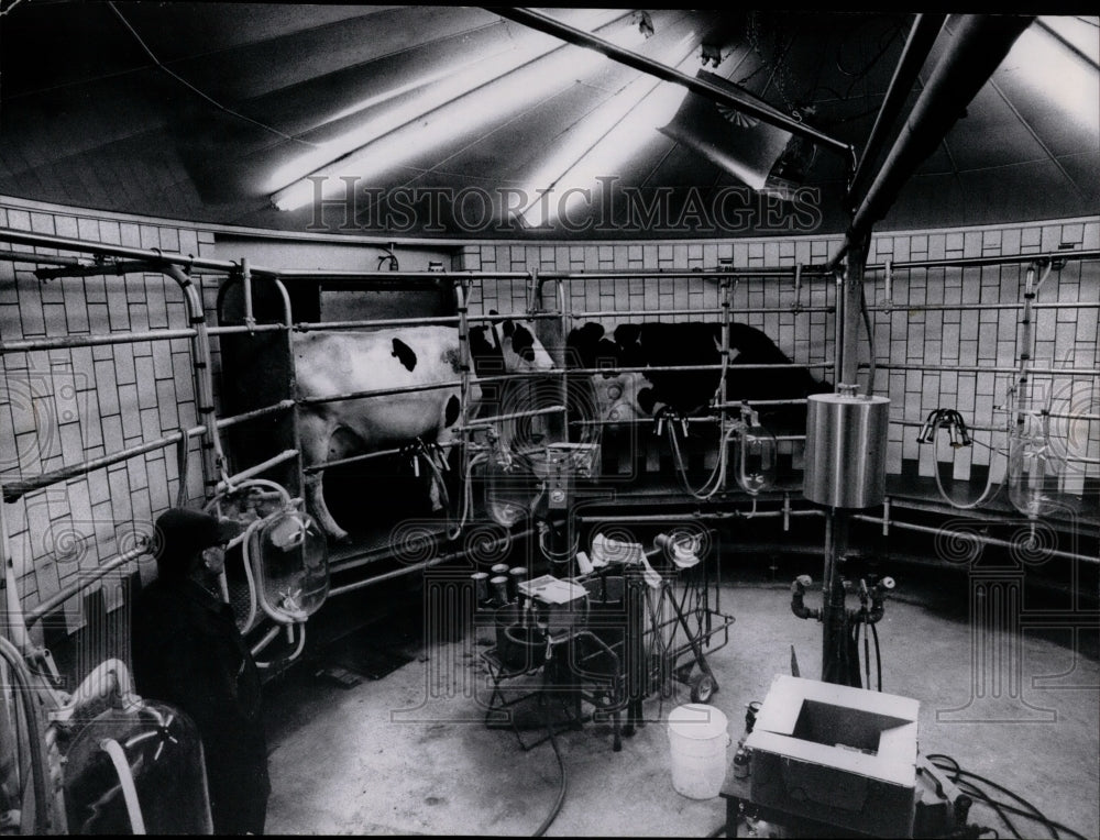 1973 Press Photo Milking Carousel-Edward Morlock Dairy Farm - Historic Images