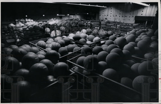 1970 Press Photo Eagle Rubber Company Inc in Ashland-Henry De Long - Historic Images