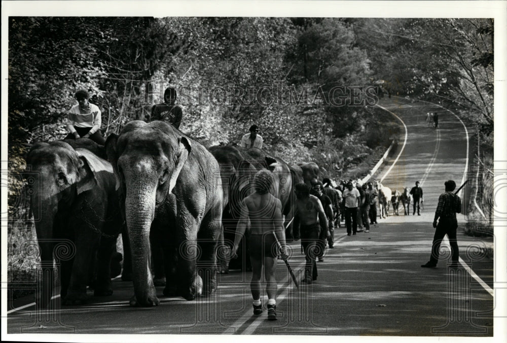 1989 Press Photo Ringling Bros. and Barnum Circus - Historic Images