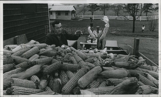 1970 Press Photo Jacob D. Zimmerly, Farmer, Tosses Corn in Trailer Bed-Historic Images