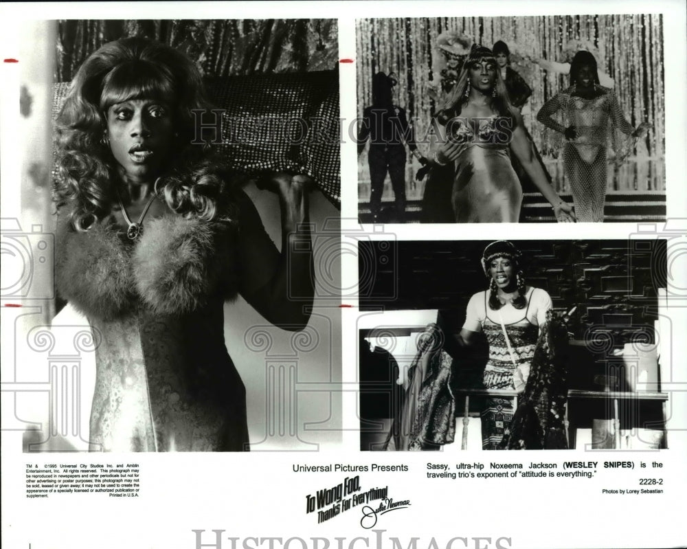 1995 Press Photo To wong Foo Thanks for Everything - cvp29061 - Historic Images