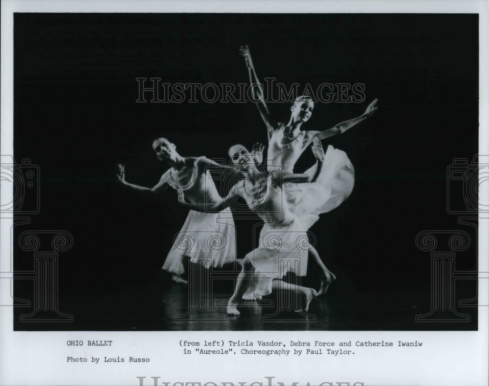 1984 Press Photo Ohio Ballet Peforming Aureole - Historic Images