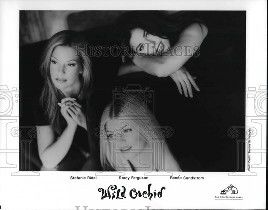 Press Photo Wild Orchid - Historic Images
