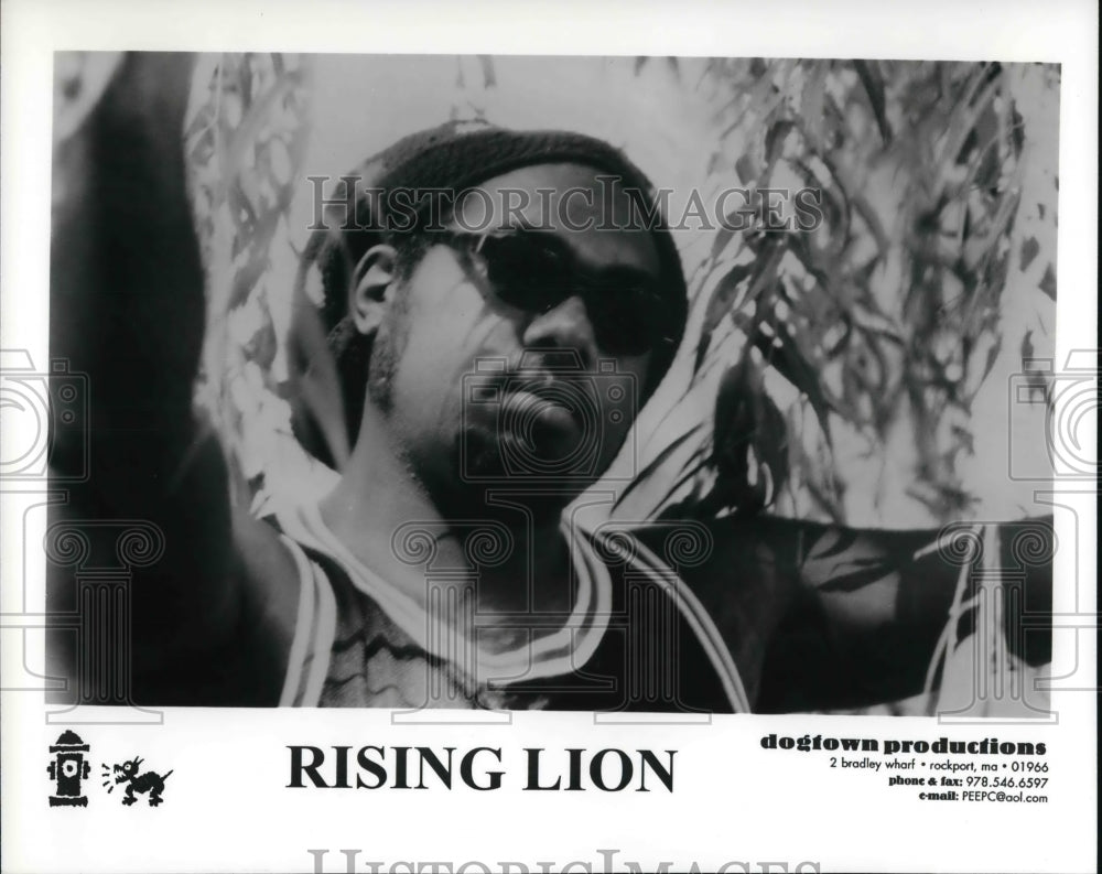 Undated Press Photo Rising Lion - Historic Images