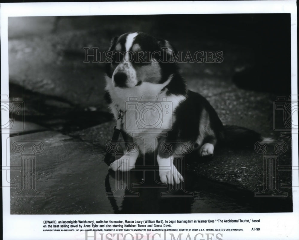 1989 The Accidental Tourist  - Historic Images