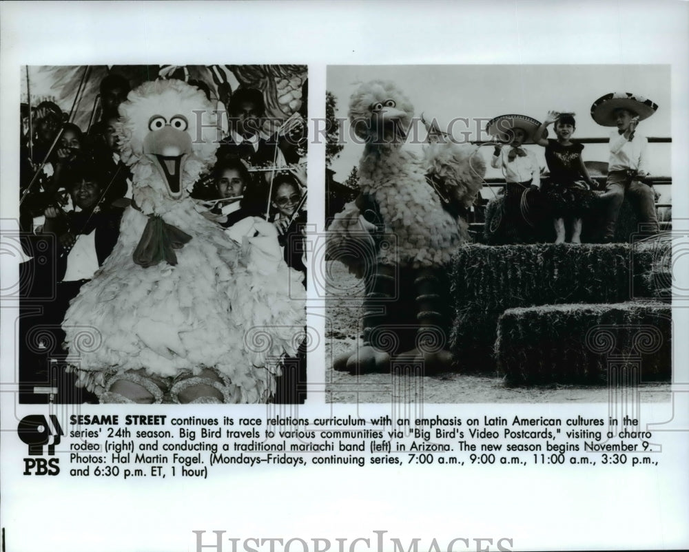 Undated Press Photo Big Bird stars on Big Bird&#39;s Video Postcards on Sesame Street - Historic Images