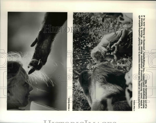 Press Photo Jane Goodall Michael Nichols on The Photographers - cvp35655 - Historic Images