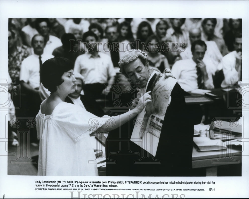 1988 Press Photo Meryl Streep and Neil Fitzpatrick star in A Cry in the Dark - Historic Images