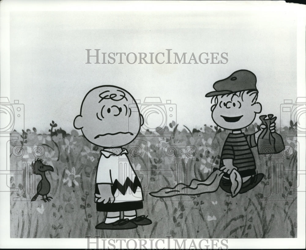 Undated Press Photo &quot;Charlie Brown&quot; - cvp39830 - Historic Images