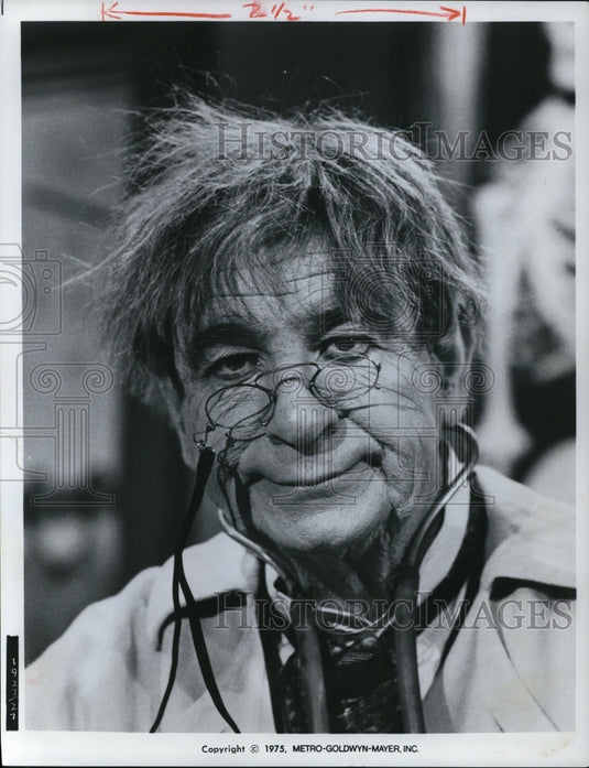 1975 Press Photo Walter Matthau - Historic Images