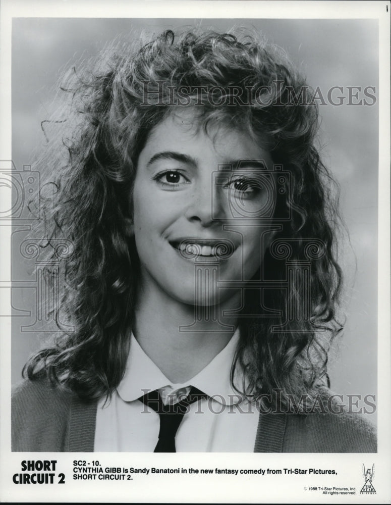 1989 Cynthia Gibb stars as Sandy Banatoni in Short Circuit 2 - Historic Images