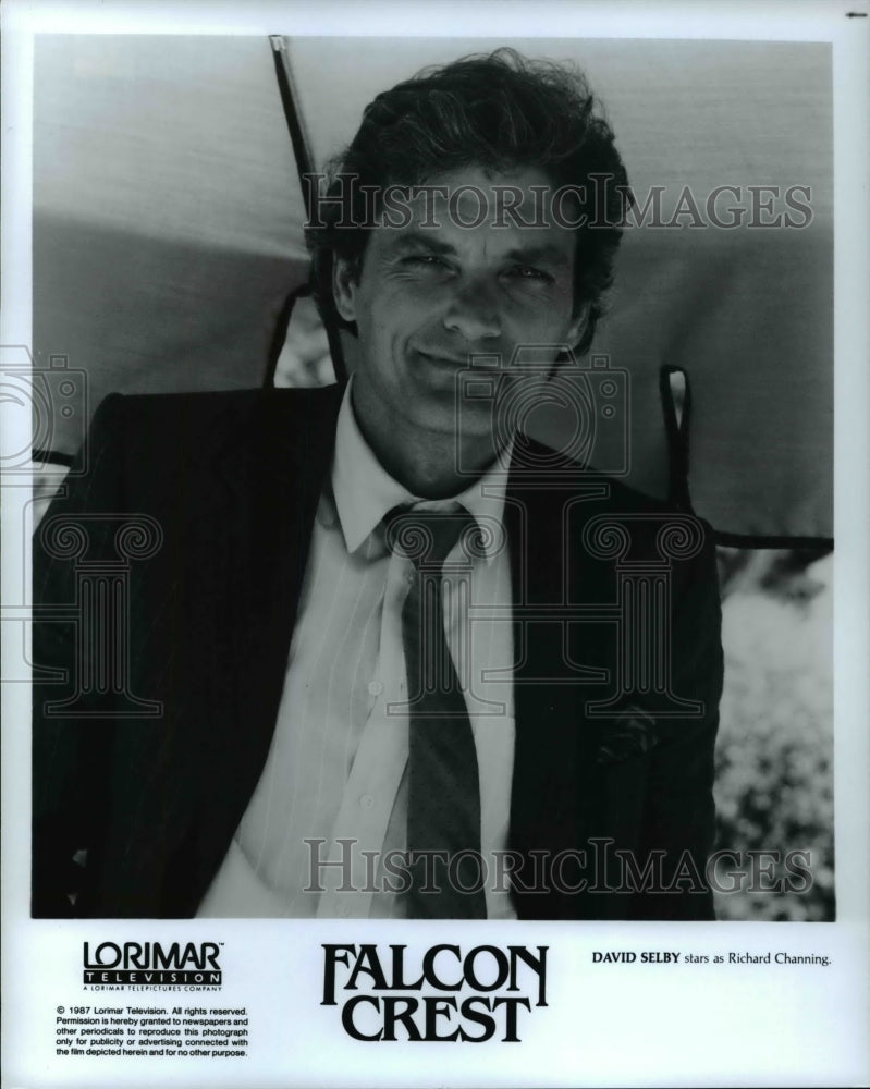 1987 Press Photo David Selby as Richard Channing in Falcon Crest - cvp44973-Historic Images