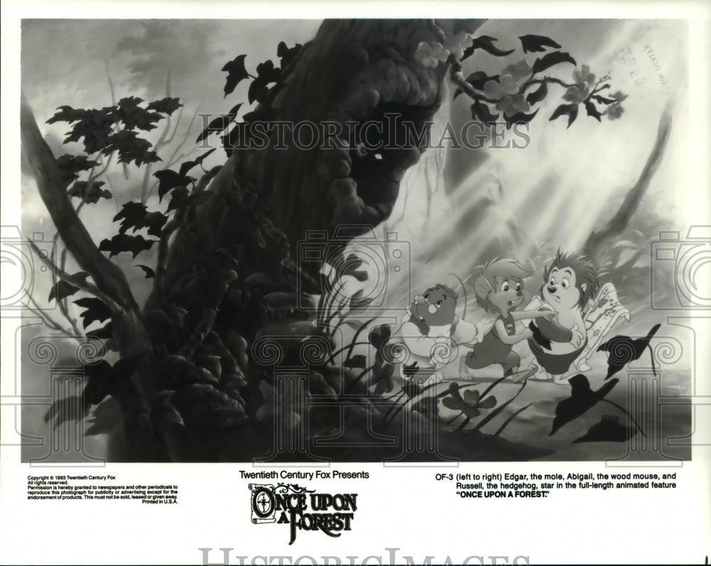 1993 Press Photo Scene from Once Upon a Forest - cvp45138 - Historic Images