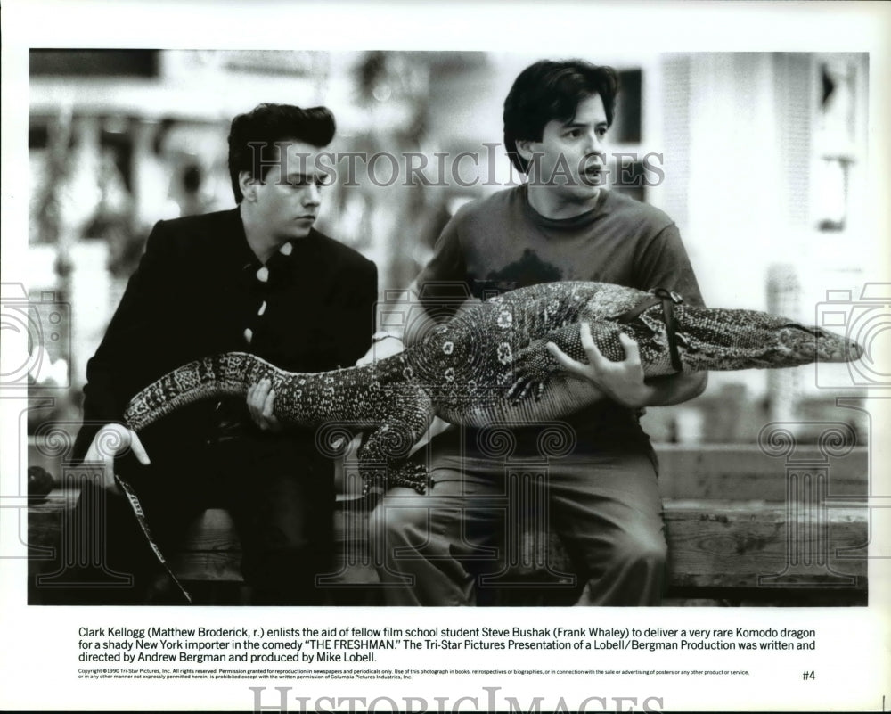 1991 Press Photo Matthew Broderick and Frank Whaley star in The Freshman - Historic Images