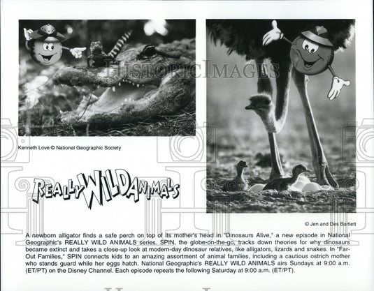 Undated Press Photo Really Wild Animals Series- Historic Images