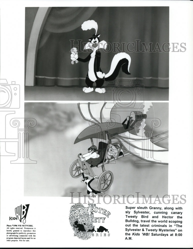 1996 Press Photo Scenes from animated cartoon The Sylvester & Tweety Mysteries - Historic Images