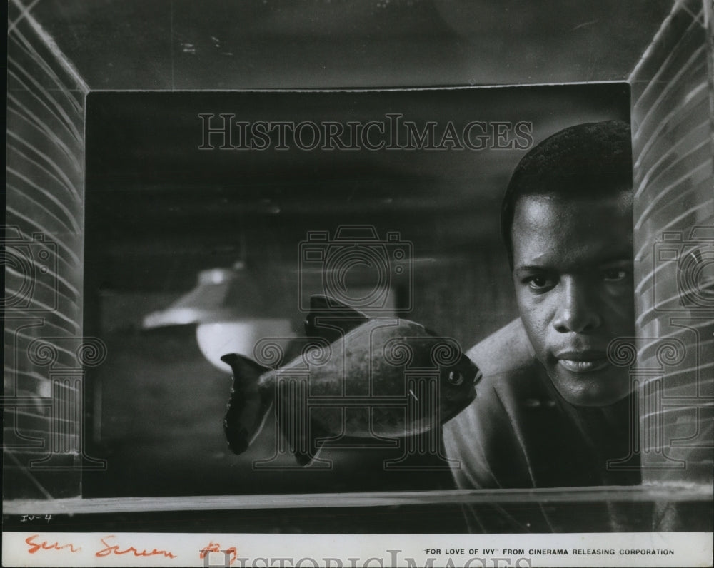 1968 Press Photo Sidney Poitier For The Love Of Ivy - cvp48967 - Historic Images