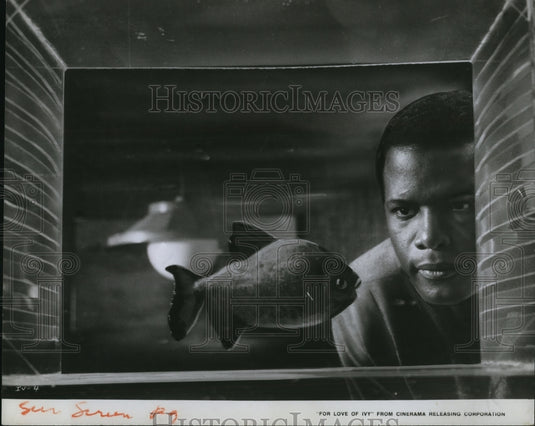 1968 Press Photo Sidney Poitier For The Love Of Ivy - cvp48967 - Historic Images