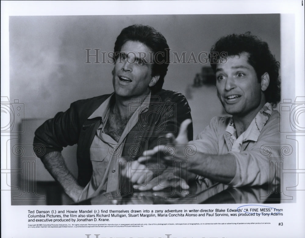 1987 Press Photo A Fine Mess Ted Danson Howie Mandell - cvp50038 - Historic Images