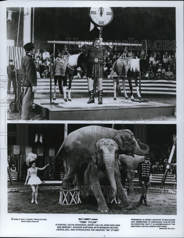 1984 Press Photo Scenes from Toby Tyler movie film - cvp58743-Historic Images