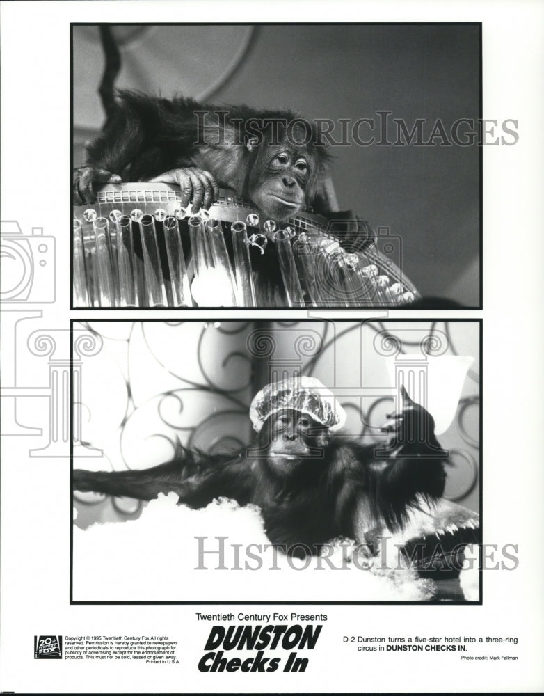 1996 Press Photo Dunston in Dunston Checks In - cvp61221 - Historic Images