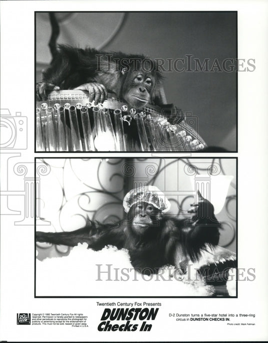 1996 Press Photo Dunston in Dunston Checks In - cvp61221 - Historic Images