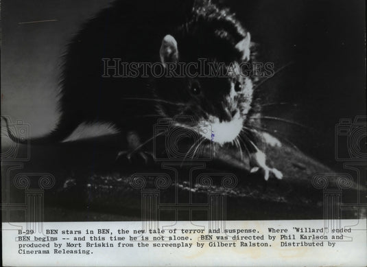 1972 Press Photo Scene from Ben movie film - cvp64686 - Historic Images