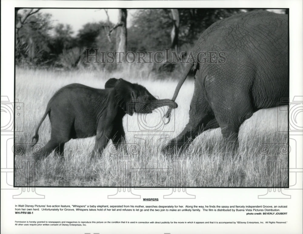 Press Photo Walt Disney Pictures&#39; live-action feature Whispers - cvp65667 - Historic Images