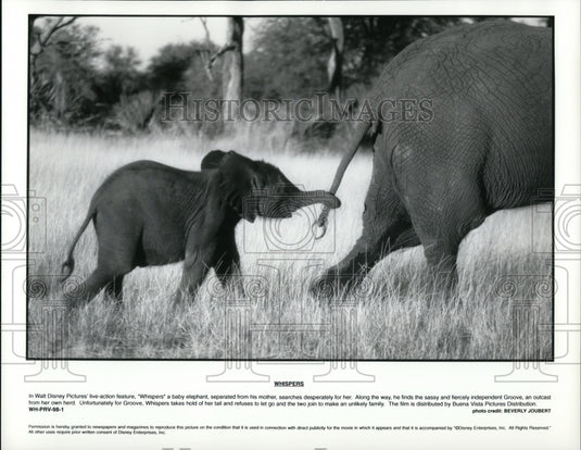 Press Photo Walt Disney Pictures' live-action feature Whispers - cvp65667 - Historic Images