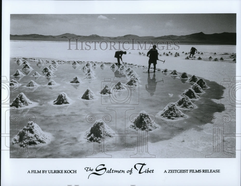 Press Photo The Saltmen of Tibet - cvp66031 - Historic Images